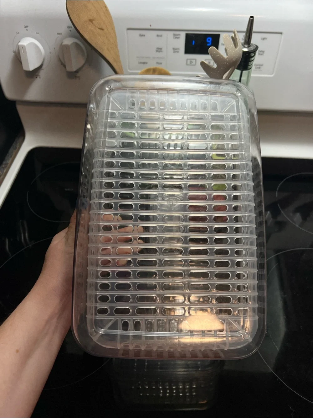 Fruit and Veggie Crisper